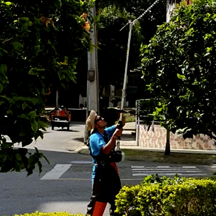 MANTENIMIENTO JARDINES 12