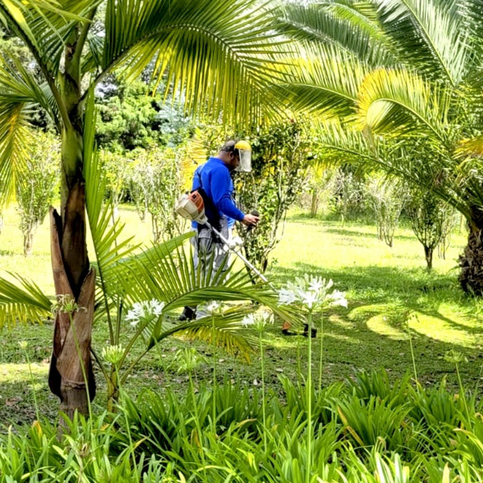 MANTENIMIENTO JARDINES 2