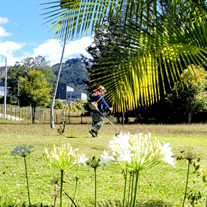 MANTENIMIENTO JARDINES 3