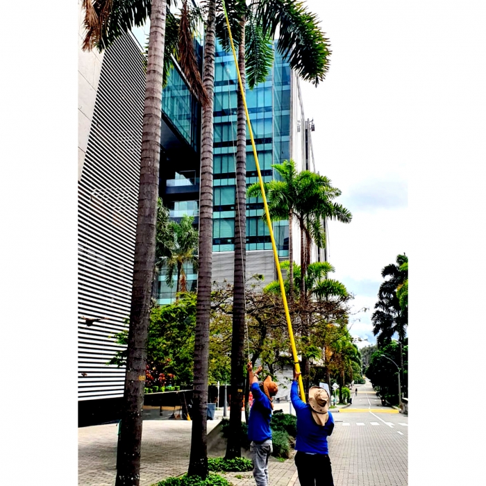 MANTENIMIENTO JARDINES 5