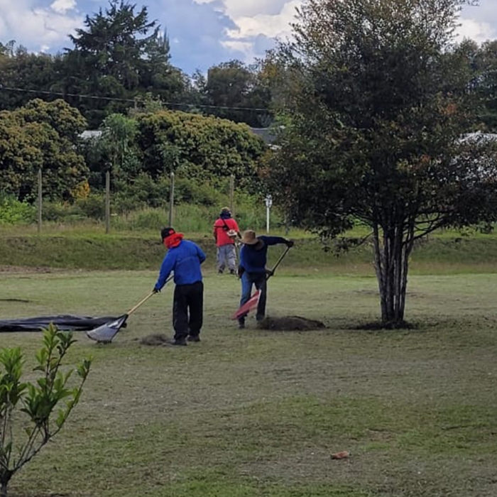 MANTENIMIENTO JARDINES 8